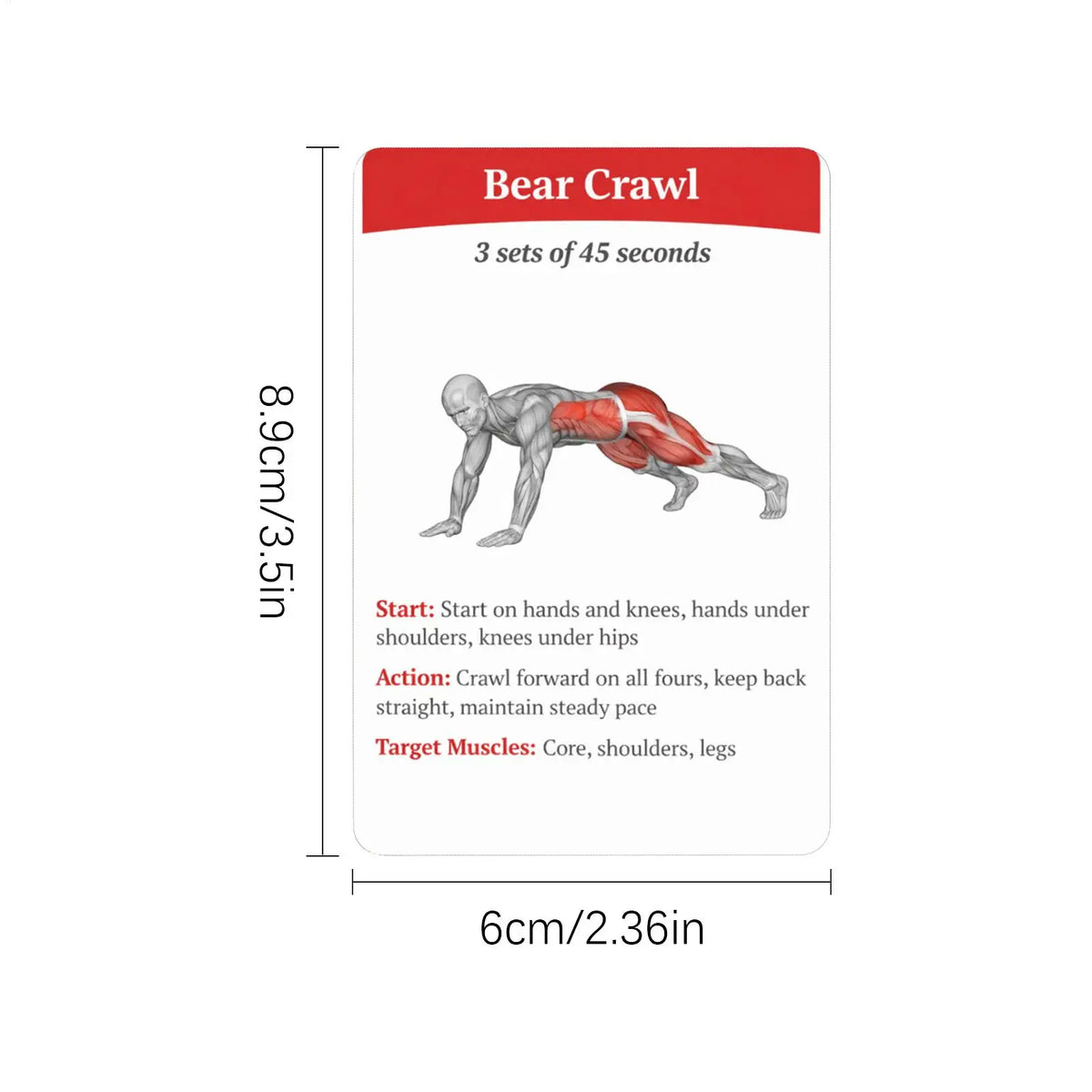 36-Piece Fitness Exercise Cards – Core Strength & Aerobic Workout Guide